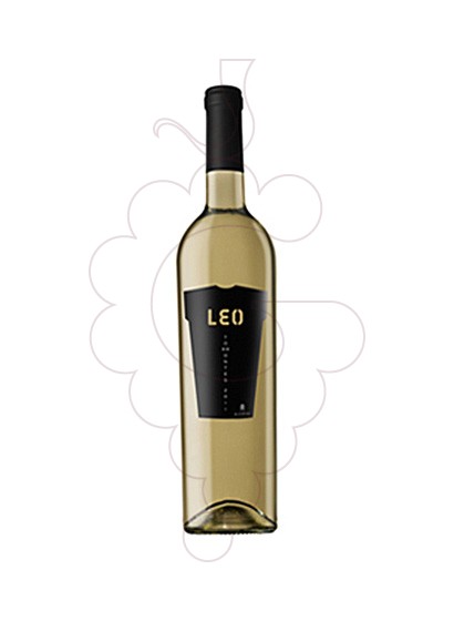 leo-blanc-torrontes__VIM492.jpg