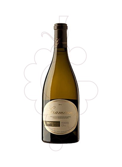 gramona-sauvignon-blanc-magnum__VCA1709.jpg