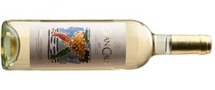 VCA187-e1367057938616.jpg