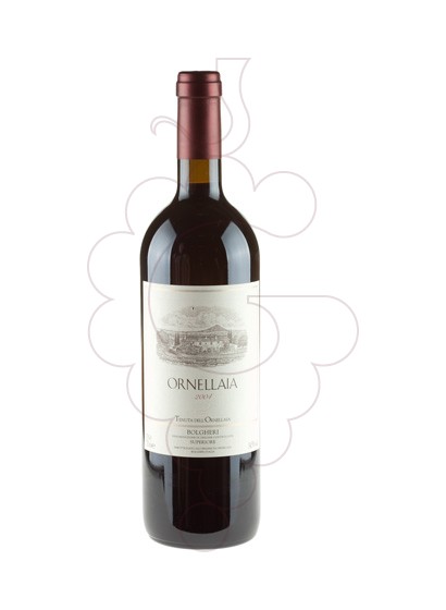 ornellaia-negre__VIM1395.jpg