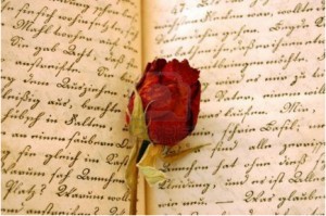 rosa-300x199.jpg