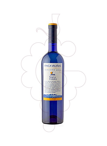 albarino-finca-valinas__VGA0511.jpg