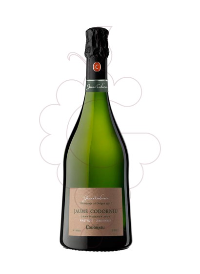 jaume-codorniu__CAV000.jpg