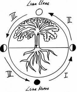 cal_biodinamico-2-252x300.jpg