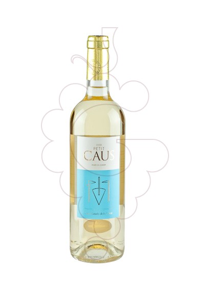petit-caus-blanc__VCA189.jpg