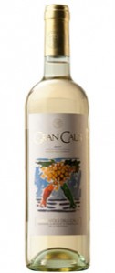 VCA187-126x300.jpg