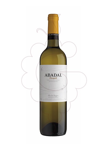 abadal-picapoll-blanc__VCA414I.jpg