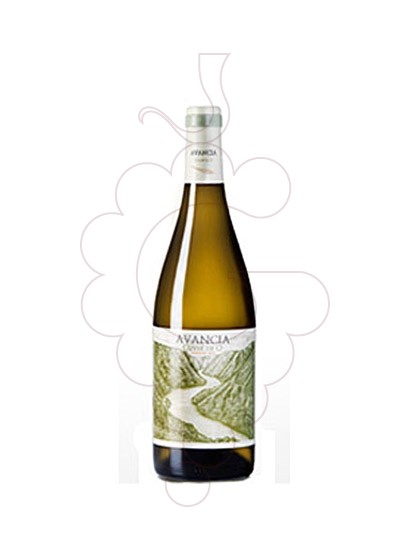 avancia-cuvee-de-o__VGA137.jpg
