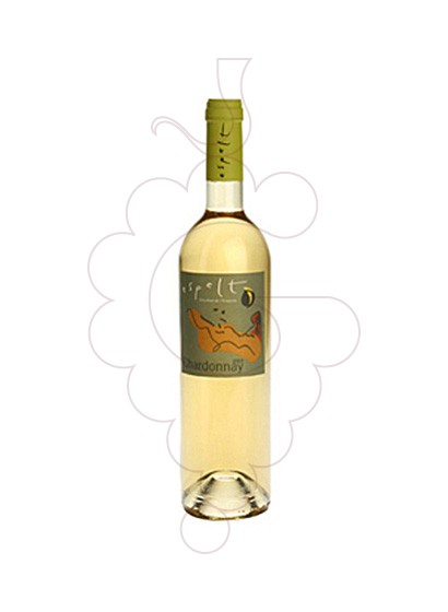 espelt-chardonnay__VCA138I.jpg
