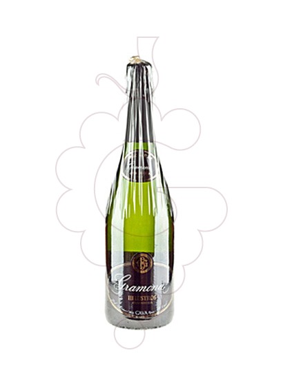 gramona-iii-lustros-brut-nature__CAV121.jpg