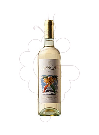 gran-caus-blanc__VCA187.jpg
