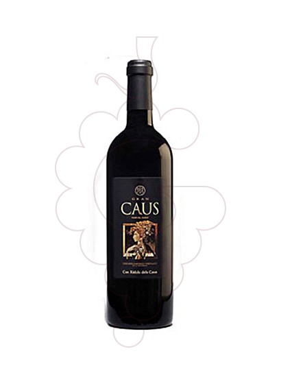gran-caus-negre__VCA1850.jpg