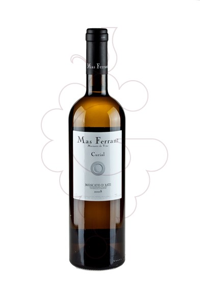 moscato-dasti-curial-mas-ferr__VCA1471.jpg