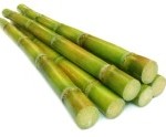 Canya-Sucre-150x124.jpg