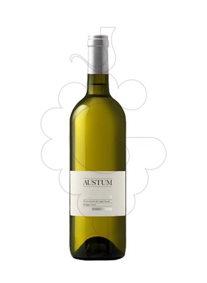 austum-blanc-verdejo__VVA5223.jpg