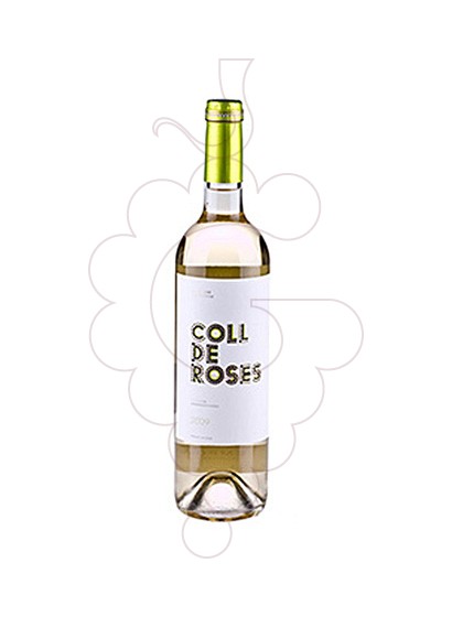 coll-de-roses-blanc__VCA1420.jpg