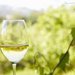 viblanc-150x150.jpg