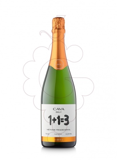 Foto 1 + 1 = 3 Brut vi escumós