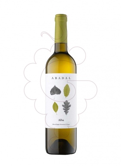 Foto Abadal Blanc vi blanc