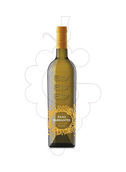 Foto Albariño Pazo de Barrantes vi blanc