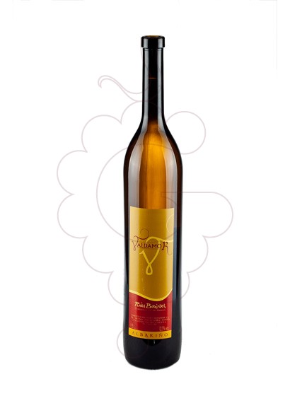 Foto Albariño Valdamor Magnum vi blanc