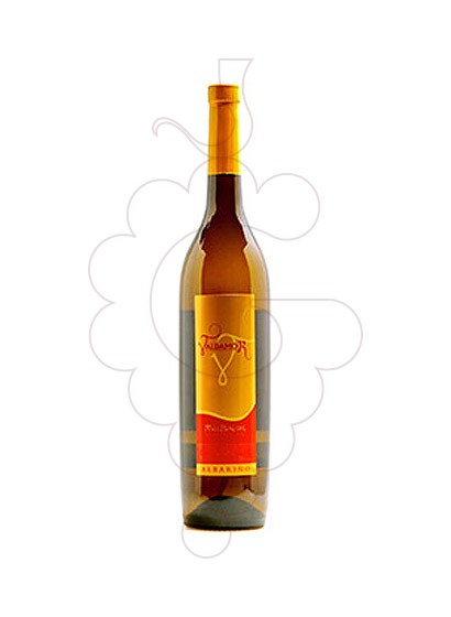 Foto Albariño Valdamor vi blanc