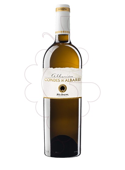 Foto Albariño Condes Albarei en Rama vi blanc