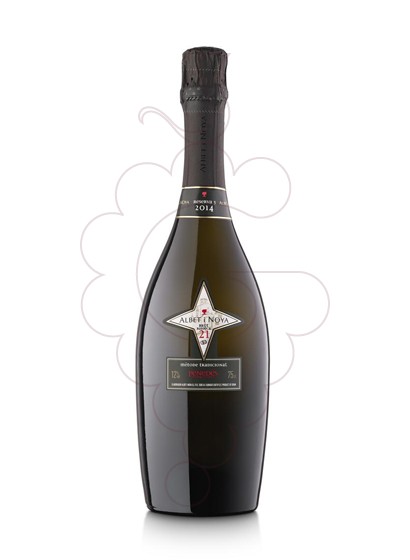 Foto Albet i Noya Brut Reserva 21 Barrica vi escumós