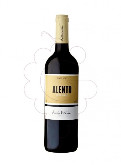 Foto Alento Negre vi negre