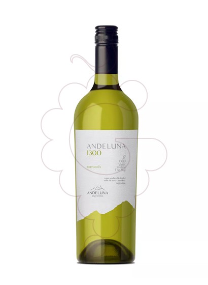 Foto Andeluna 1300 Torrontés vi blanc