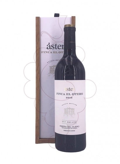 Foto Aster Finca el Otero vi negre