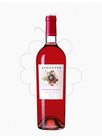 Foto Augustus Rosat vi rosat