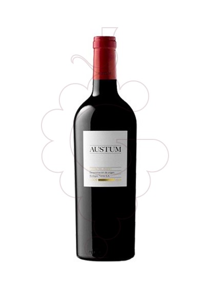 Foto Austum Magnum vi negre