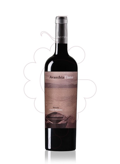Foto Avancia Cuvee Mosteiro vi negre