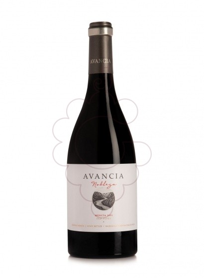 Foto Avancia Mencia vi negre