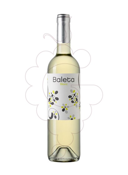 Foto Baleta Blanc vi blanc