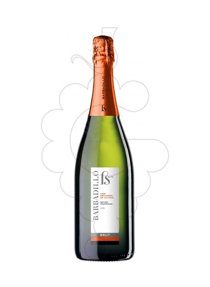 Foto Barbadillo Brut Espumoso vi escumós