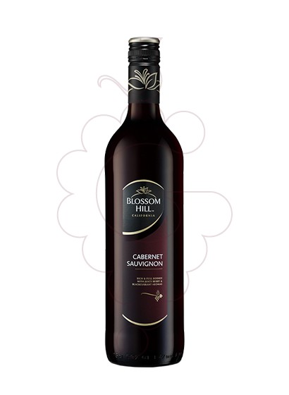 Foto Blossom Hill Cabernet (California) vi negre