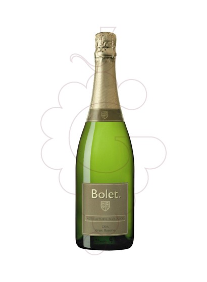 Foto Bolet Brut Nature Gran Reserva Ecològic vi escumós