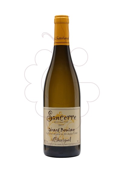 Foto Gérard Boulay Sancerre vi blanc