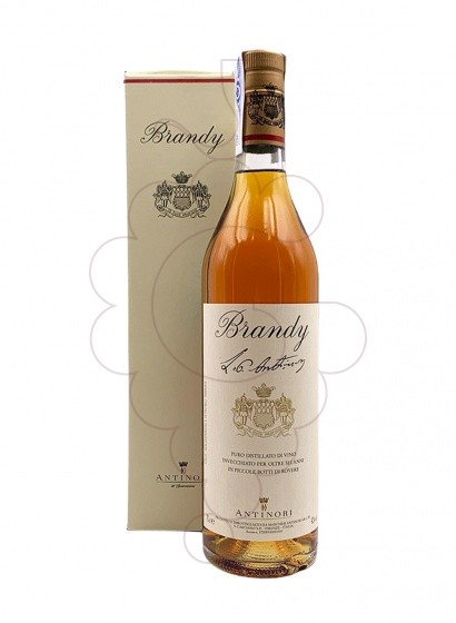 Foto Brandi Brandy Antinori