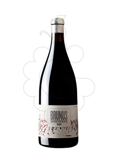 Foto Brunus Magnum vi negre