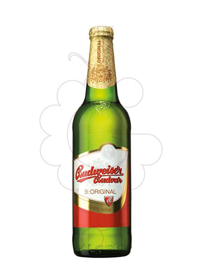 Foto Cervesa Budejovicky