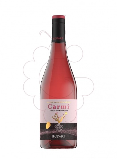 Foto Carmí vi rosat
