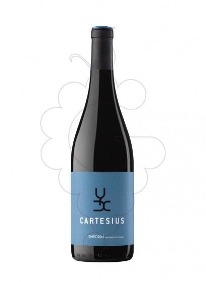 Foto Cartesius Negre vi negre