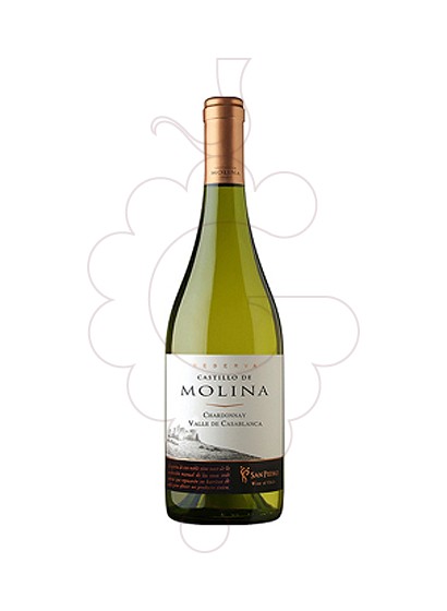 Foto Castillo de Molina Chardonnay vi blanc