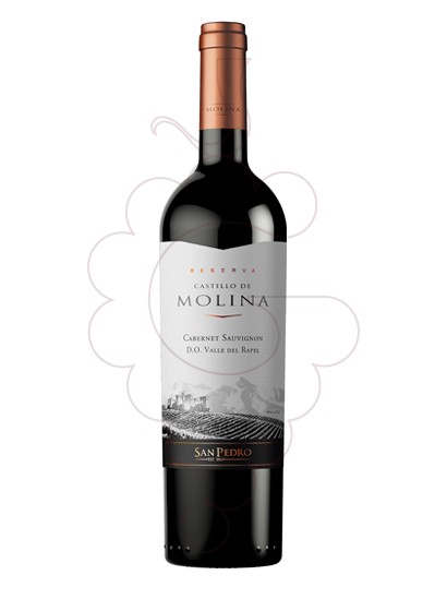 Foto Castillo de Molina Reserva vi negre