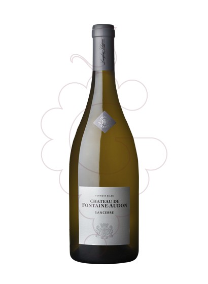 Foto Chateau Fontaine-Audon Sancerre vi blanc