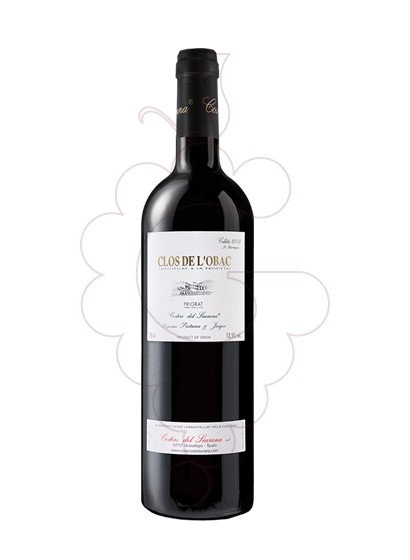Foto Clos de l'Obac Magnum vi negre