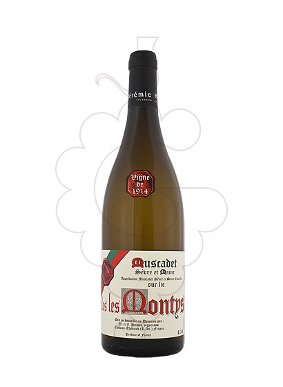 Foto Clos Montys Muscadete s/Maine vi blanc